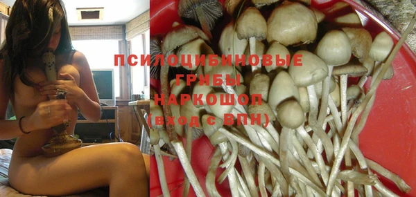 скорость Балахна
