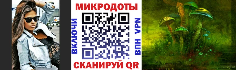 kraken tor  Нефтегорск  Псилоцибиновые грибы Magic Shrooms 